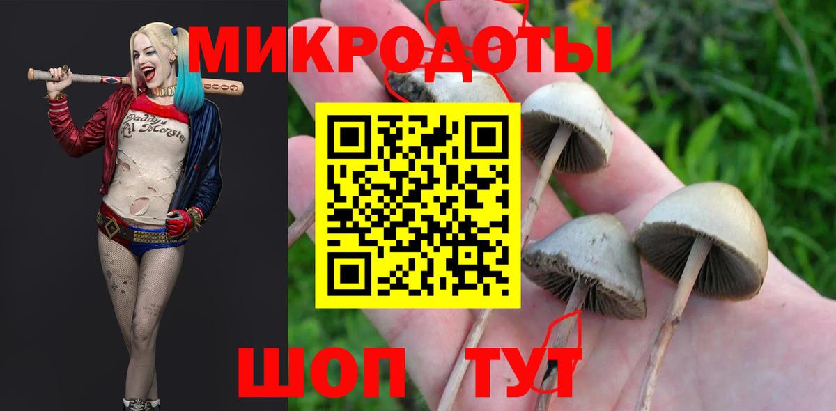 Галлюциногенные грибы мицелий  Вход с VPN  Янаул  Псилоцибиновые грибы мухоморы 